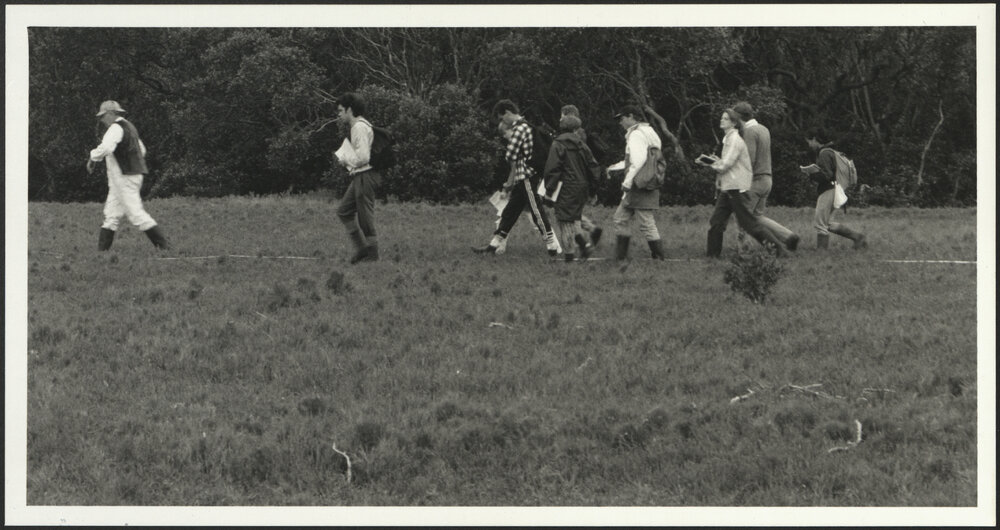 Biological Sciences Excursion - Mark Curran Leads a Group of Botany Students Along a Transect in a Botany Bay Saltmarsh
