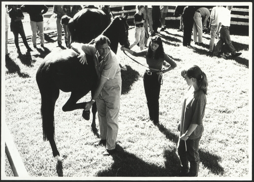 Professor Reuben Rose Instructing Veterinary Science Students in Equine Lameness Diagnosis
