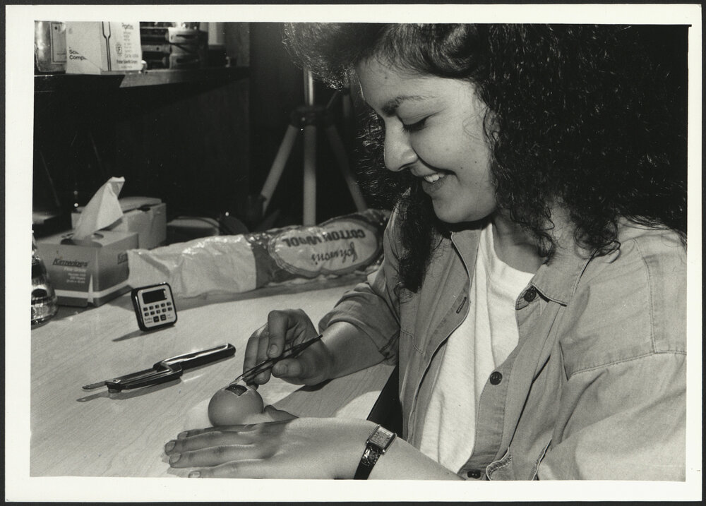 Biology - Student Cutting a 'Window' into a Chicken Egg for an Embryology Experiment