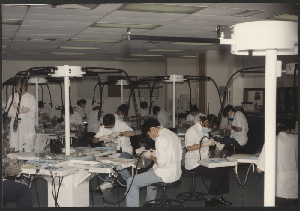Dental Students Working in Dental Laboratory