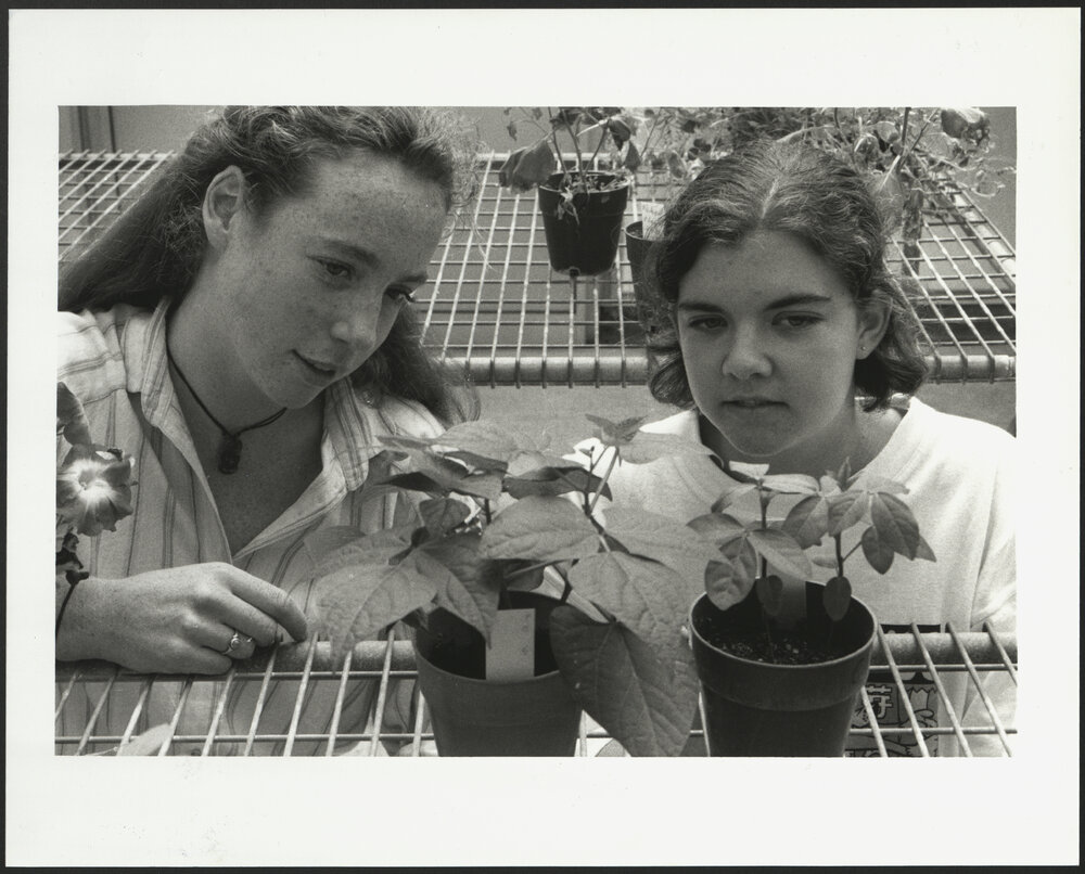 Two Horticulture Students in Greenhouse with Plants 