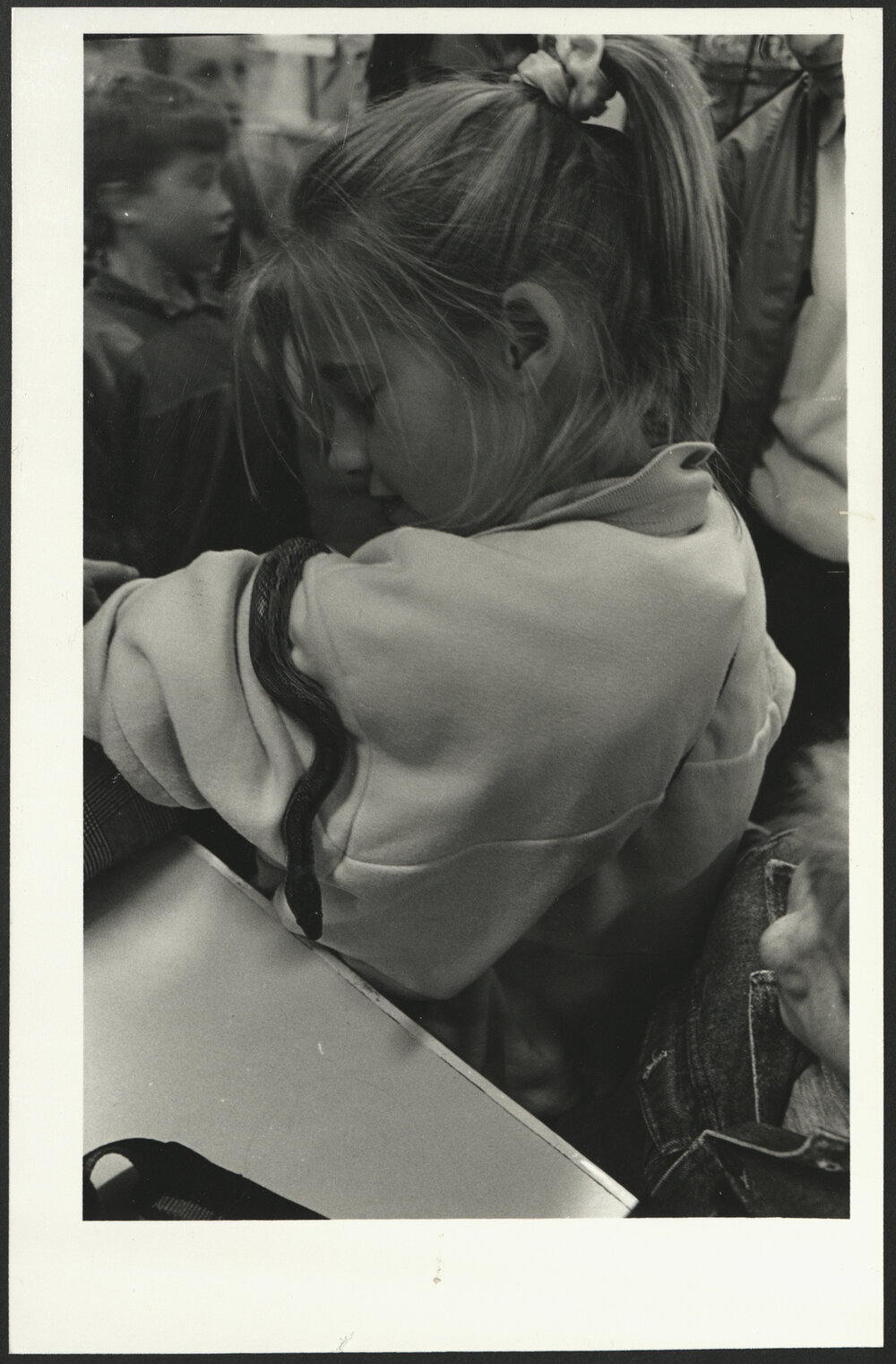 A Child Watching a Snake on Their Arm During Open Day 1988