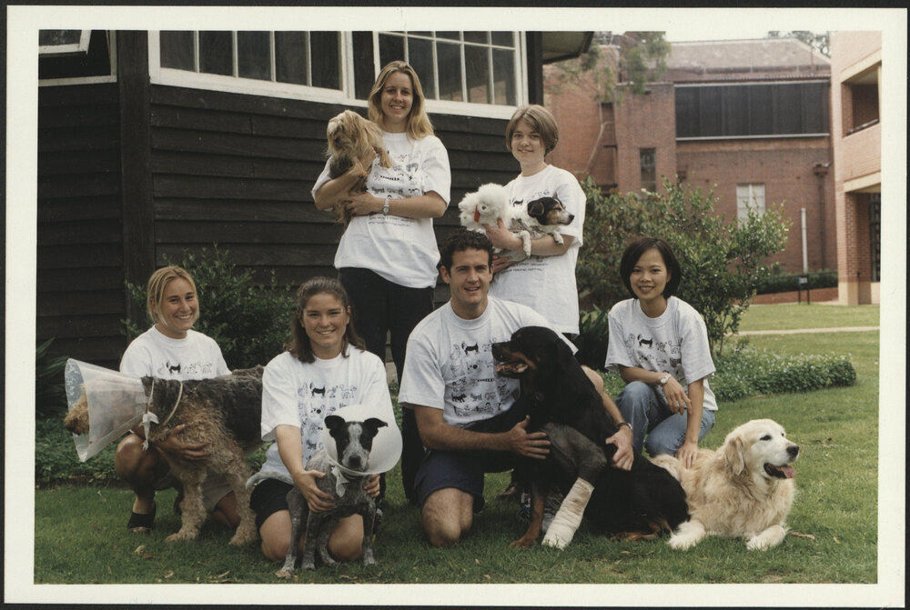 Fifth-Year Bachelor of Veterinary Science Students with Patients from the Dog Clinic