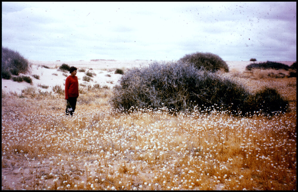 Jan Jacobs Near Bourke