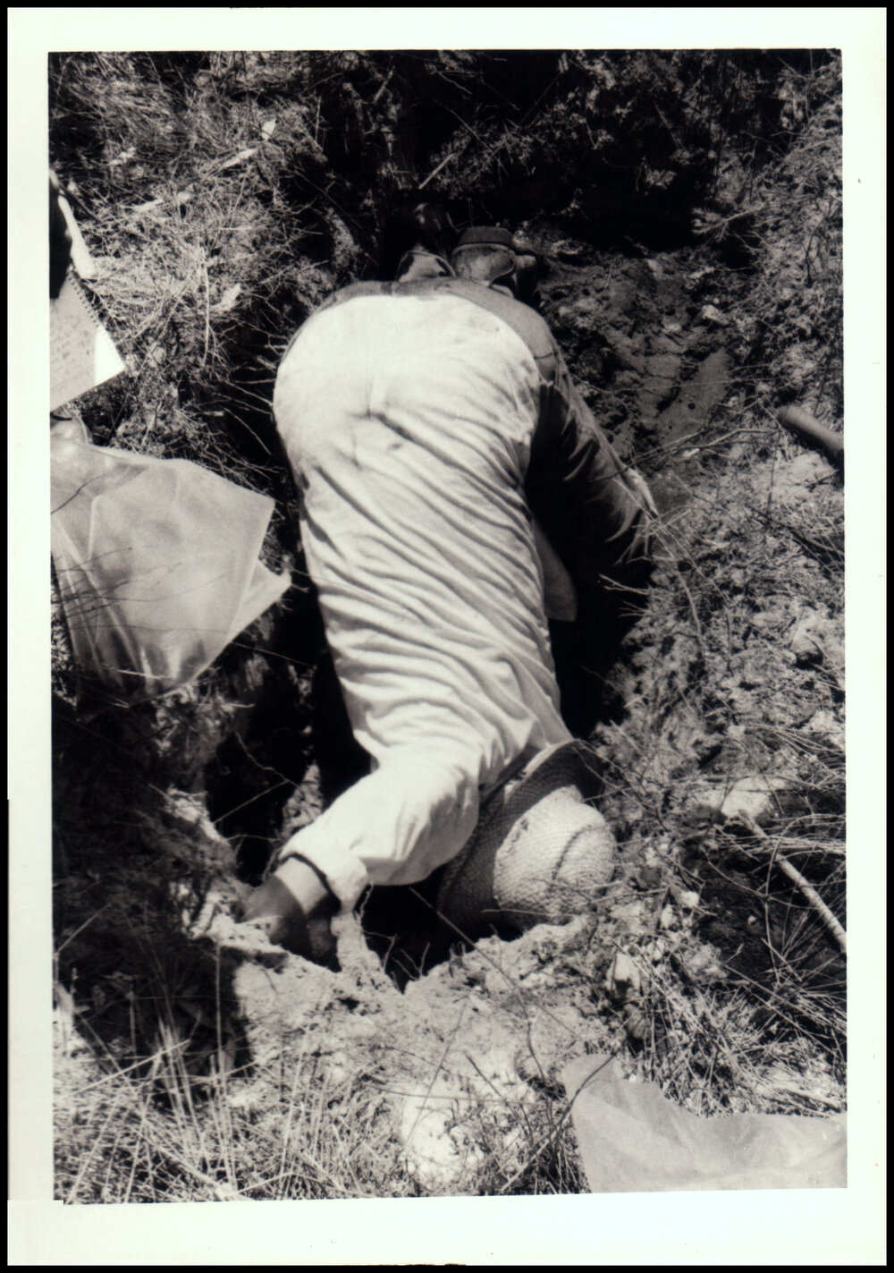 Roger Carolin Digging a Soil Pit
