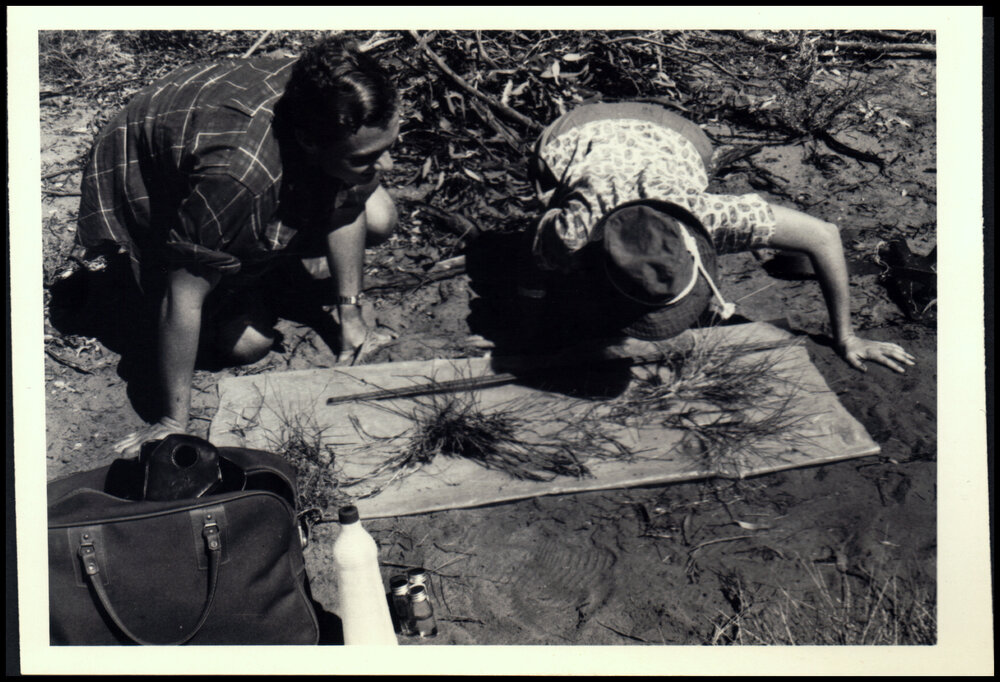 Helen Hewson and Surrey Jacobs Measure Plants near Bourke