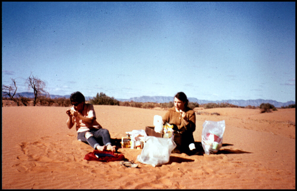 Lunch Near the Flinders Ranges