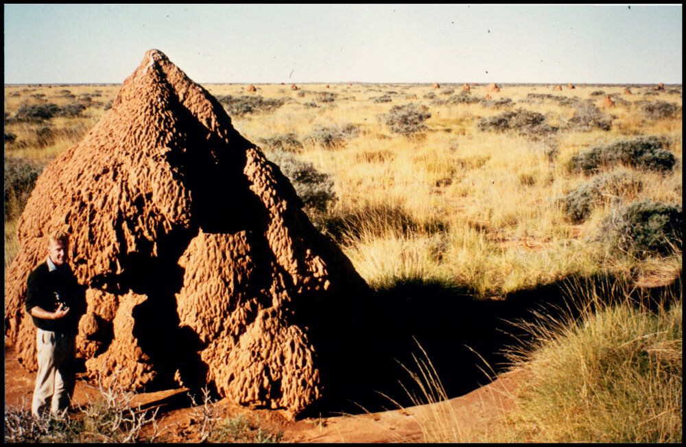 Derek Anderson Beside a Termite Mound