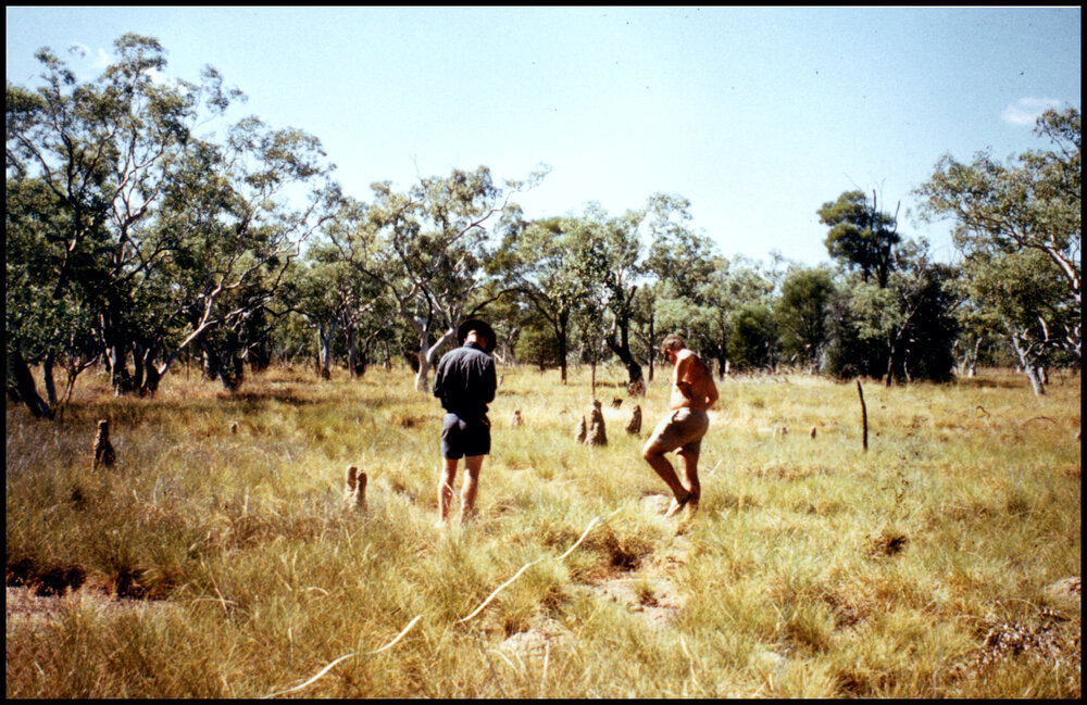 Planning a Transect near Newcastle Waters, Northern Territory