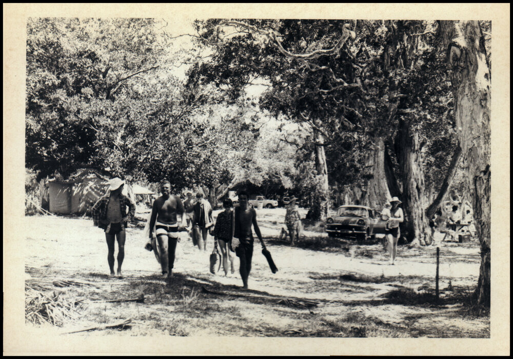 Botany Excursion to Mungo Brush