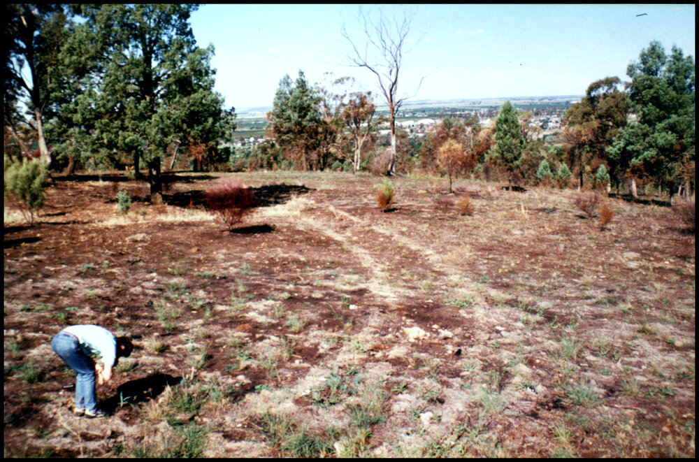 Peter McGee in Griffith