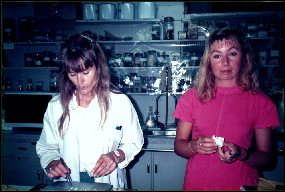 Penny Goulter and Ruth Pearson Preparing Morning Tea