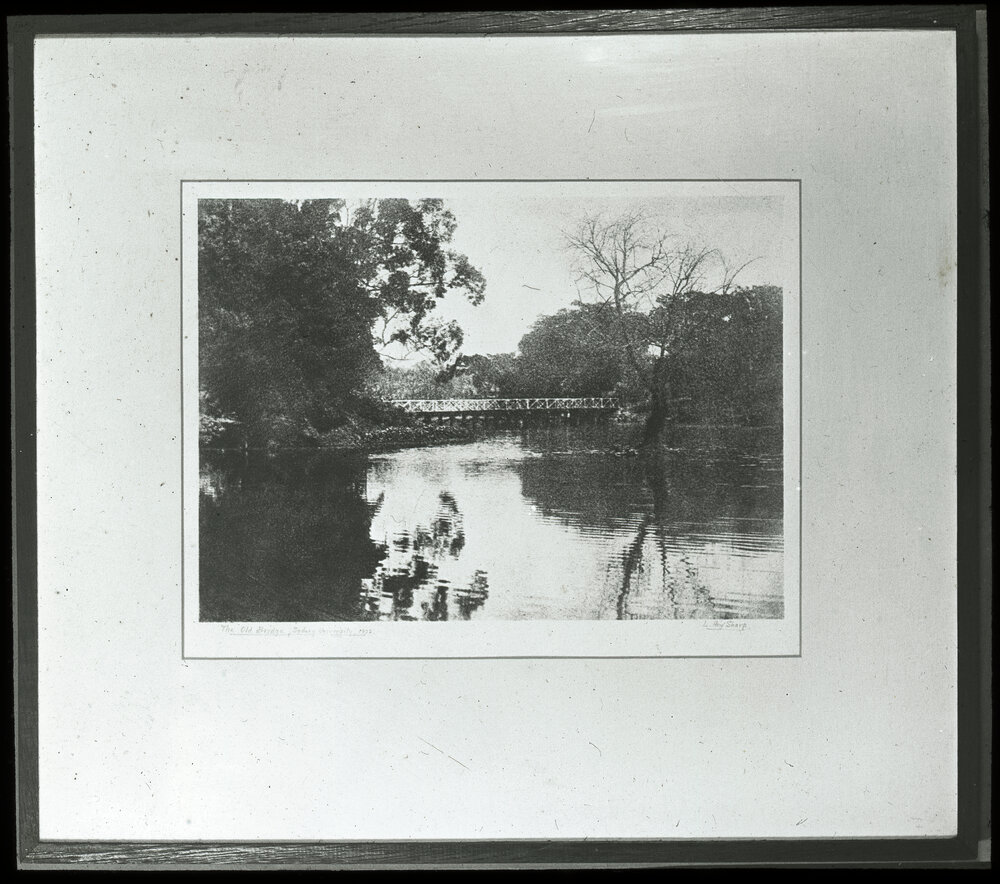 Bridge over Pond in Victoria Park