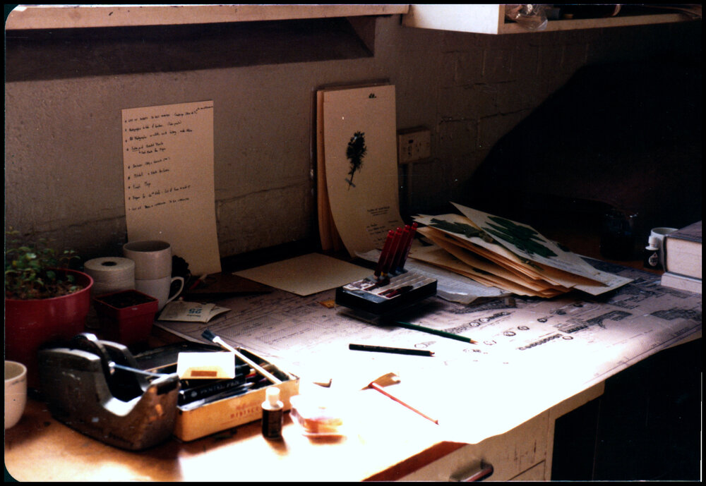 Preparing 'The University of Sydney Grounds' Handout