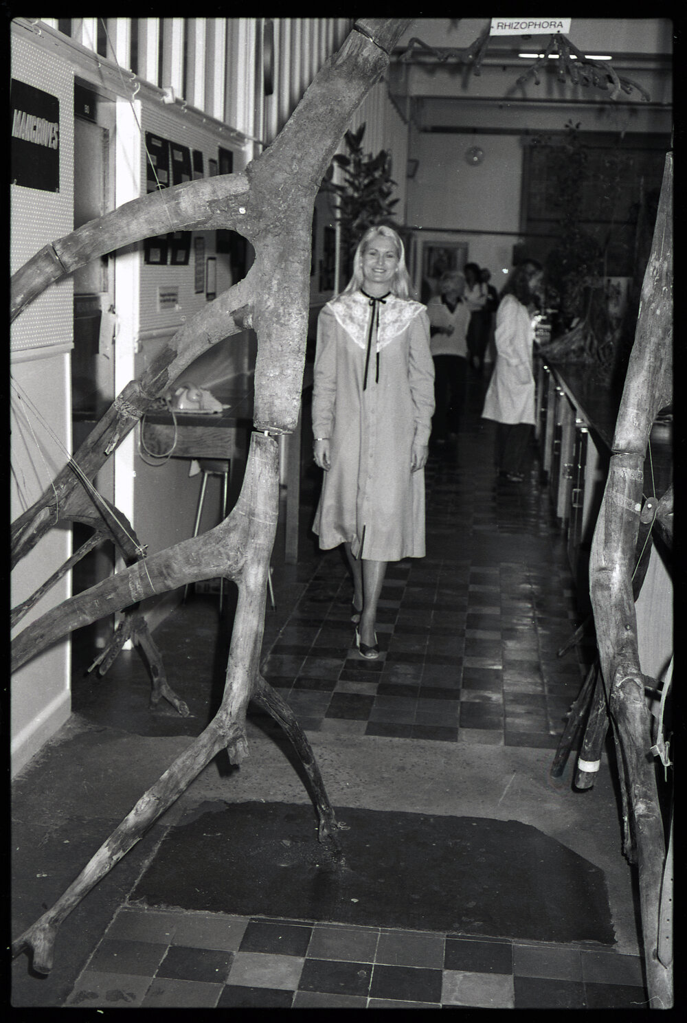 XIII International Botanical Congress Mangrove Exhibition