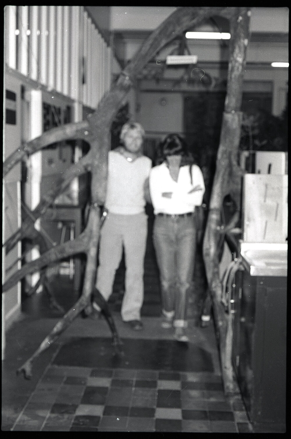 XIII International Botanical Congress Mangrove Exhibition