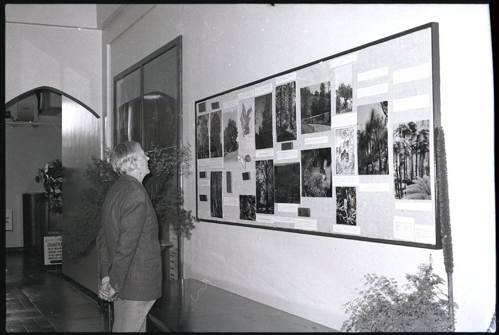 XIII International Botanical Congress Poster Display
