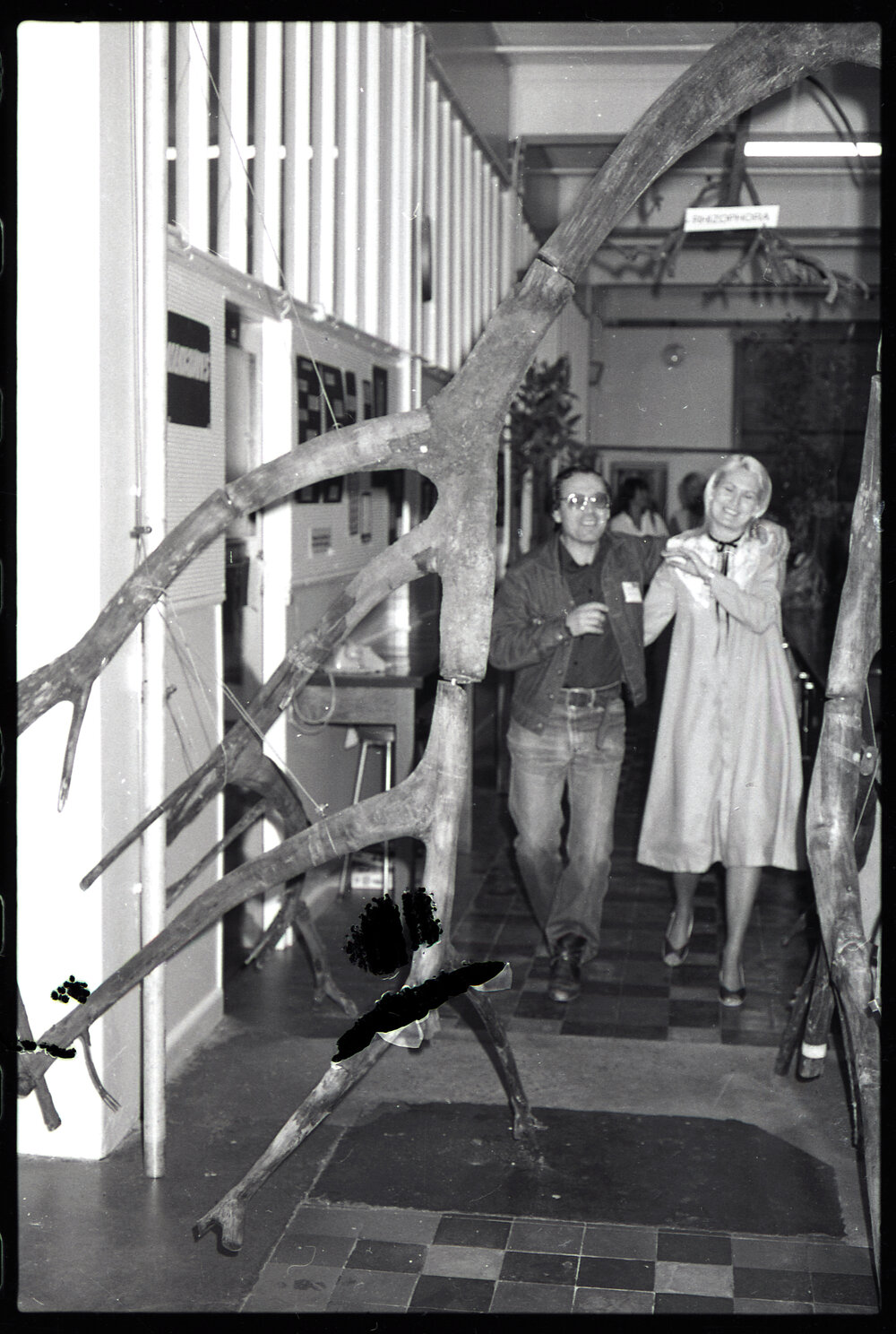 XIII International Botanical Congress Mangrove Exhibition