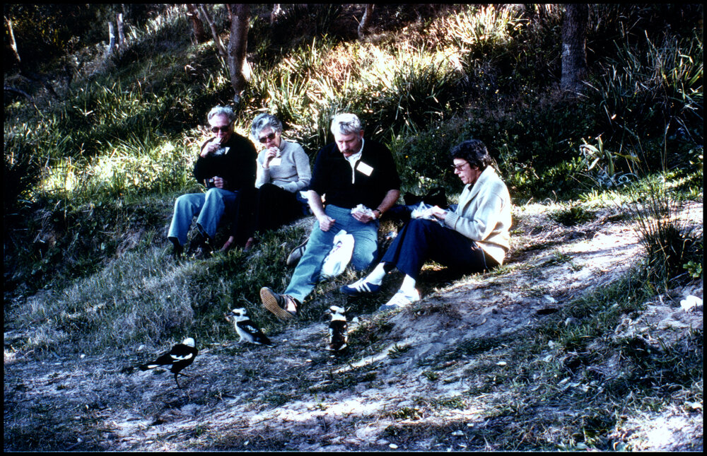 XIII International Botanical Congress Field Trip, Lunch at Maitland Bay