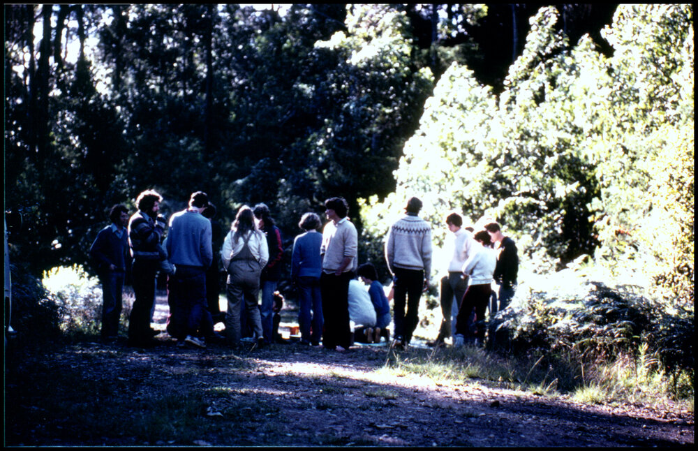 Botany Students Examine Vegetation at Cabbage Tree Mountain