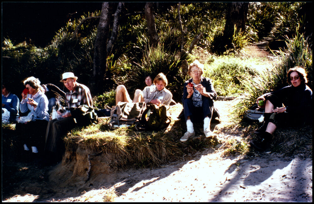 XIII International Botanical Congress Field Trip, The Watagans