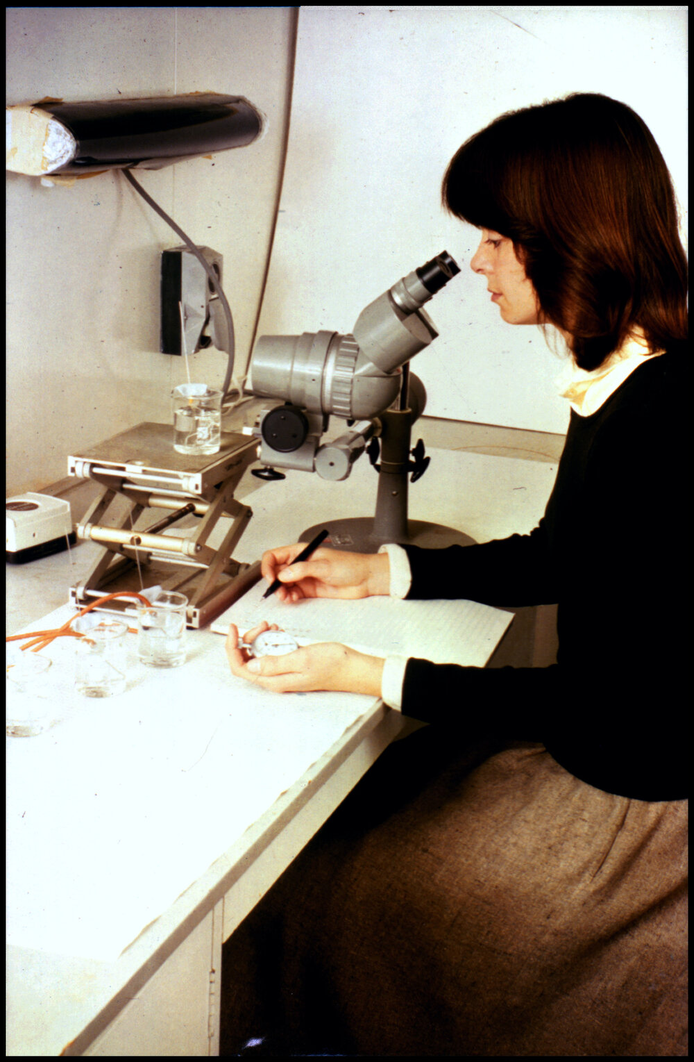 Botany Staff Member Carolyn Carter at Work
