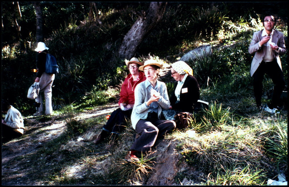 XIII International Botanical Congress Field Trip, Lunch at Maitland Bay