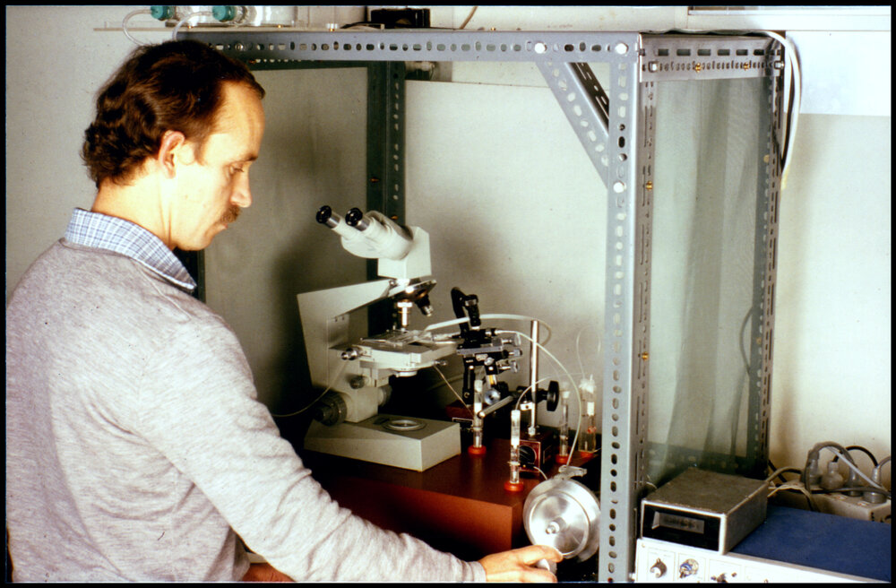 Botany Staff Member Rob Reid at Work
