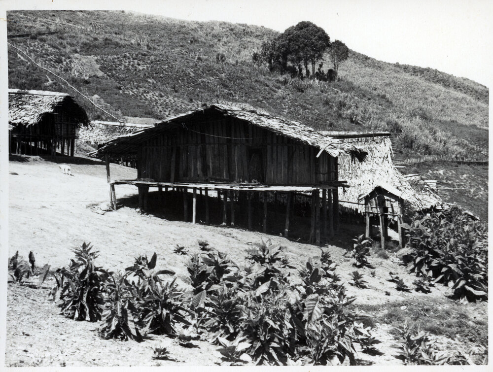 Building on Hillside