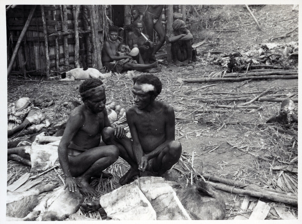 Groups Gathered Around Pig Carcasses