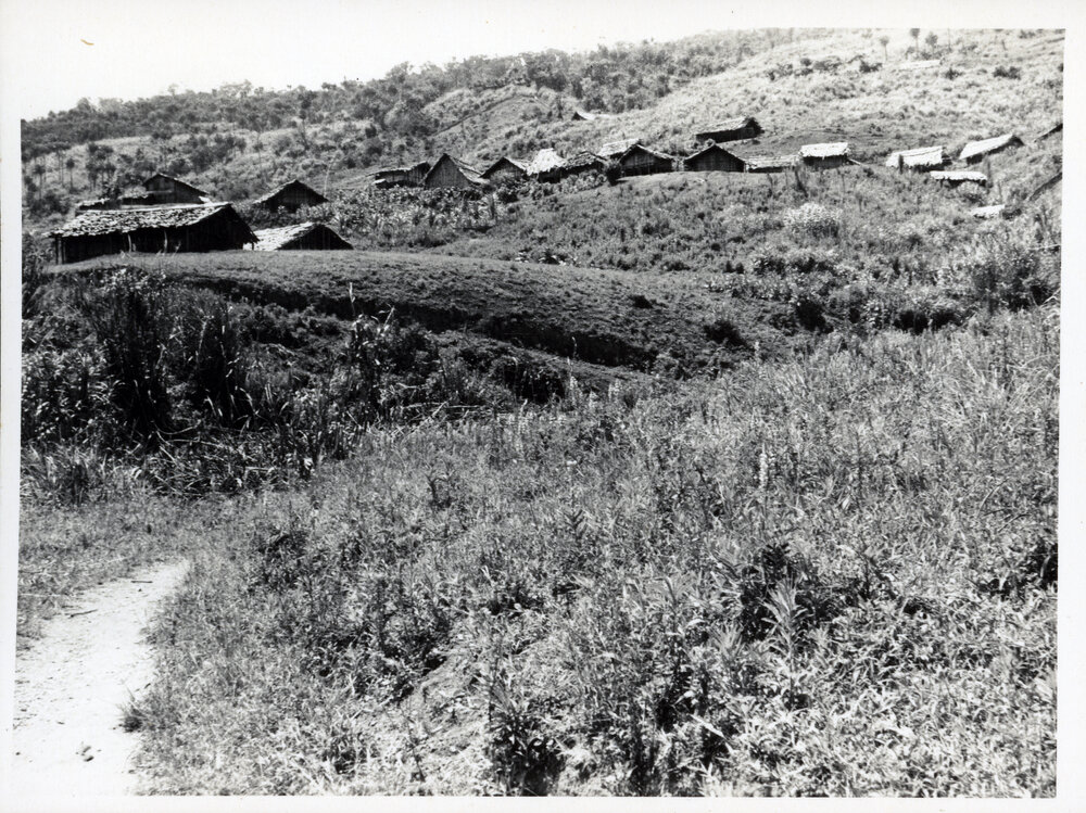 View of Hamlet on Mountainside