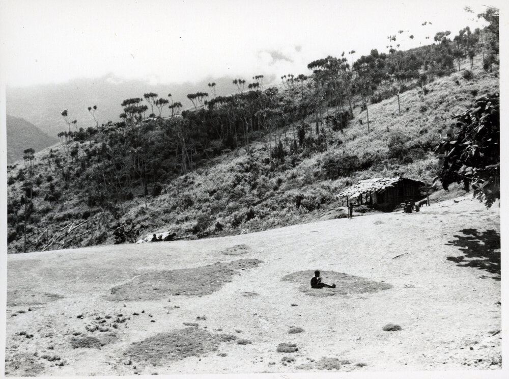 Mountainside, Papua New Guinea