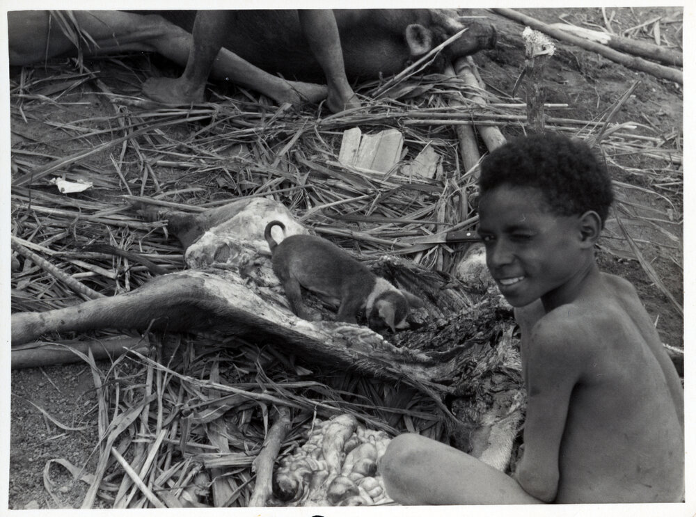 Child Sitting Beside Pig Carcass