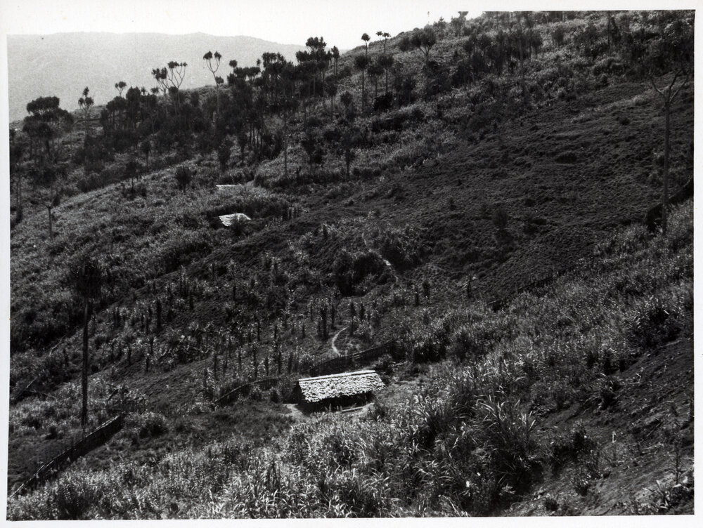 Building on Hillside