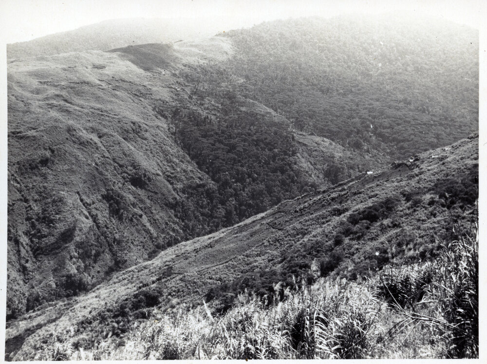 Mountainside, Papua New Guinea