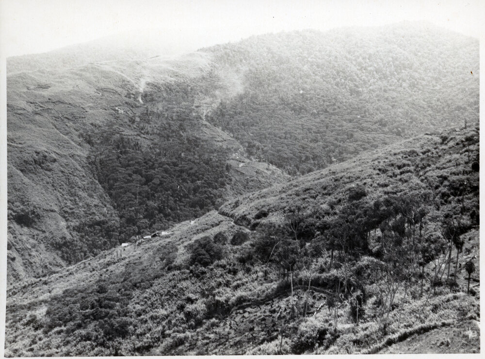 Mountainside, Papua New Guinea