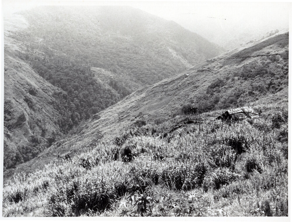 Building on Mountainside