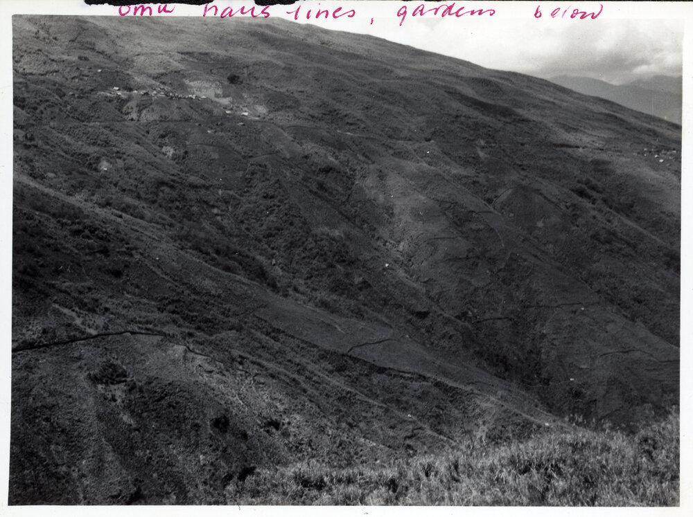 Omu Haus Lines with Gardens Below