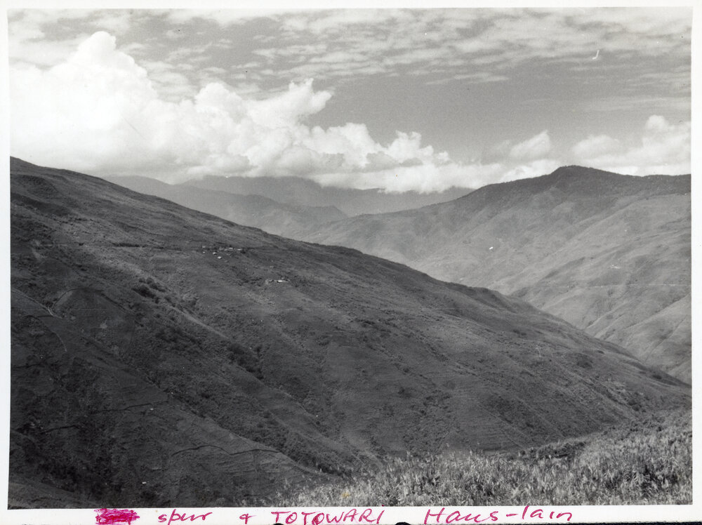 Spur and Totowari, Haus-lain