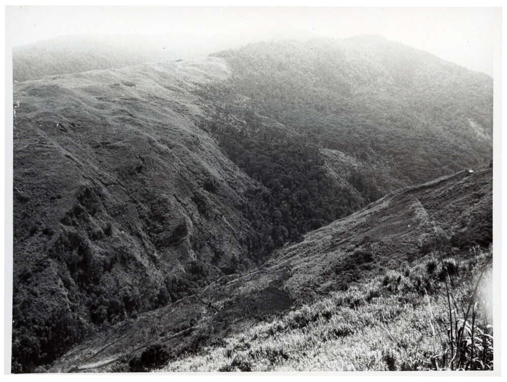Valley, Papua New Guinea