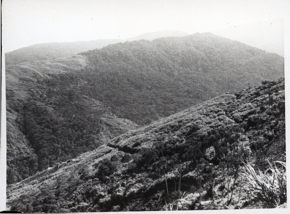 Mountainside, Papua New Guinea