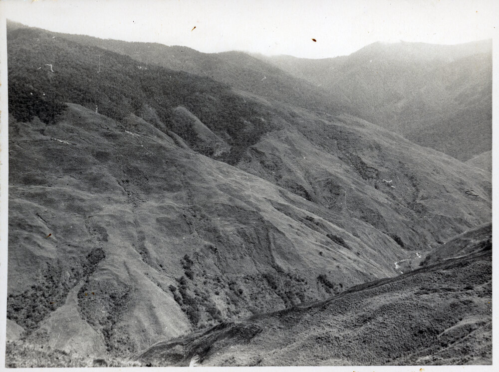 ? Eli, Dance Village