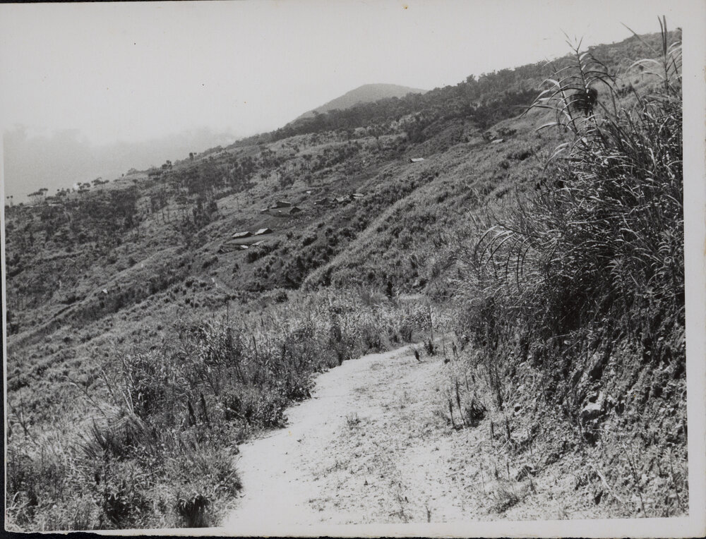 Buildings on Mountainside