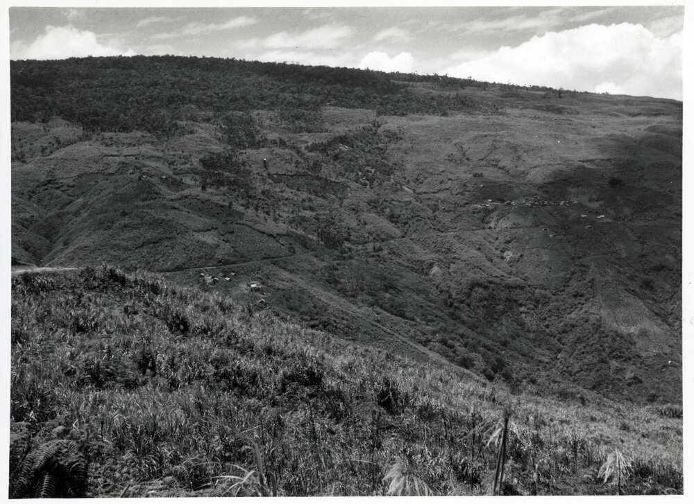 Buildings on Mountainside