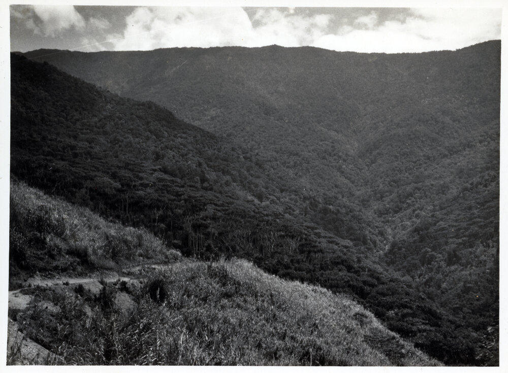 Mountainside, Papua New Guinea