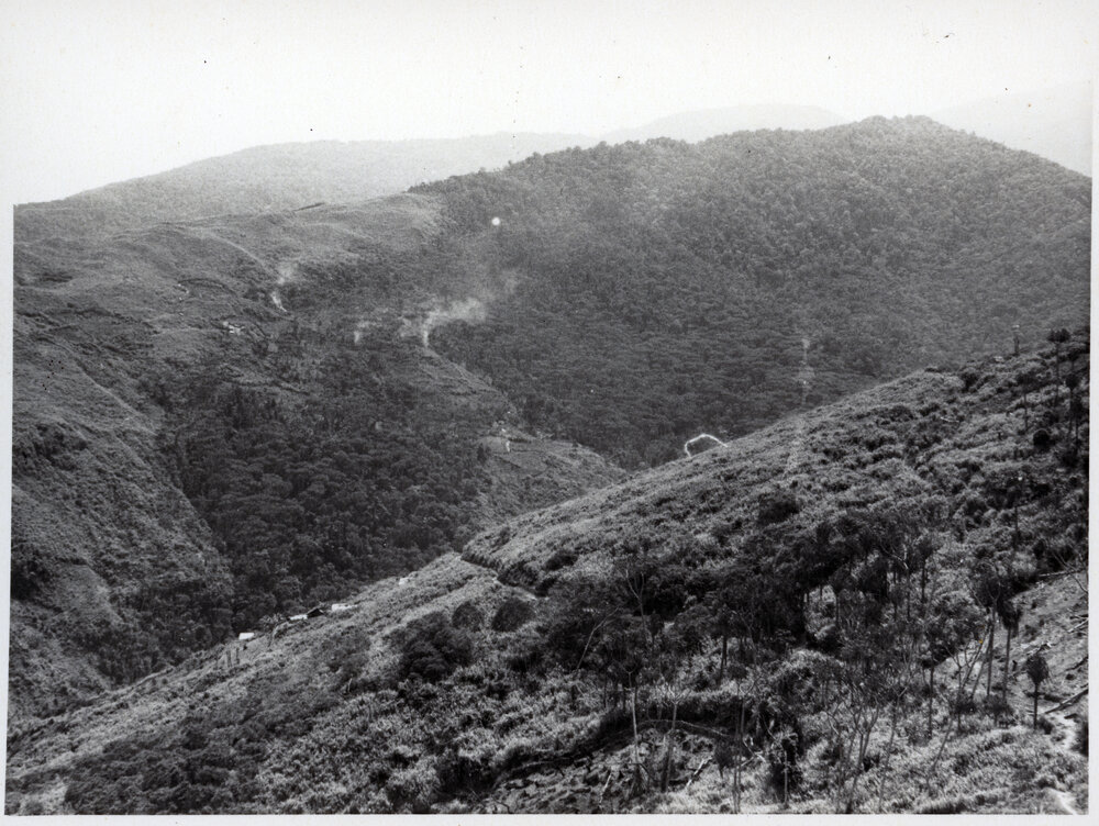 Mountainside, Papua New Guinea