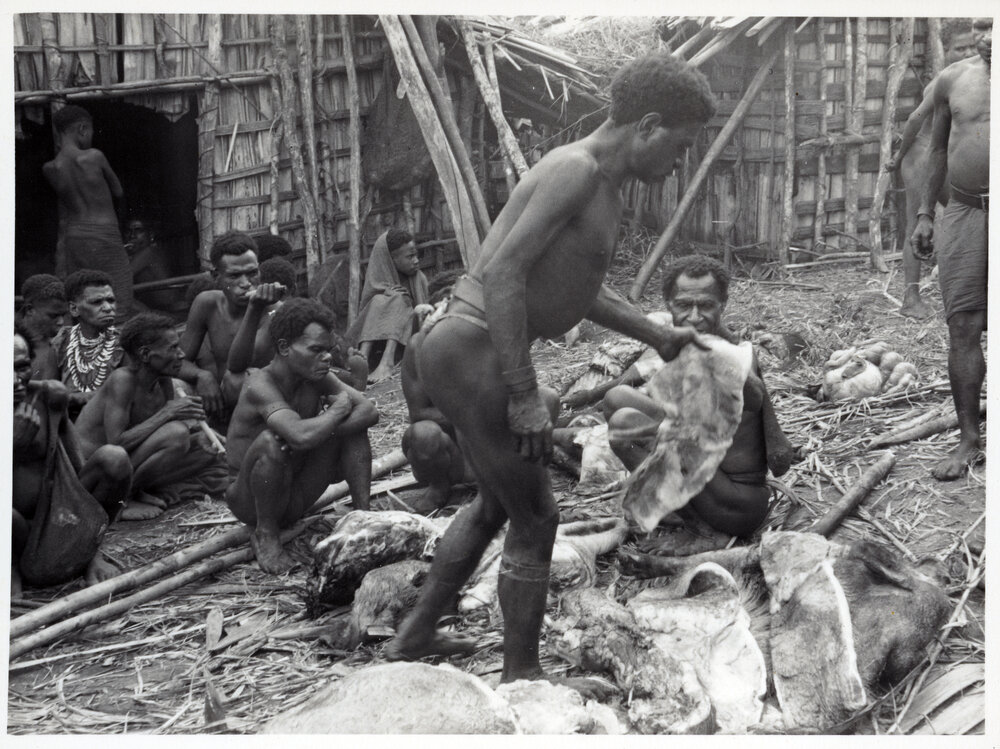 Group Preparing Pigs for Ceremony