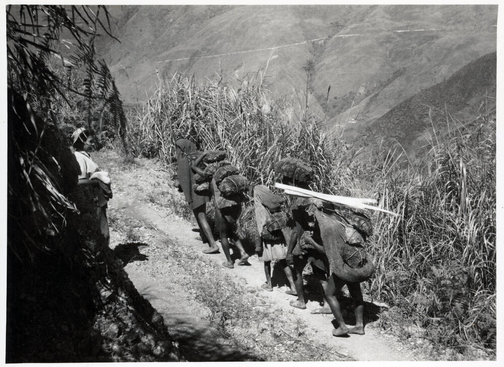 Group with Net Bags on Mountainside