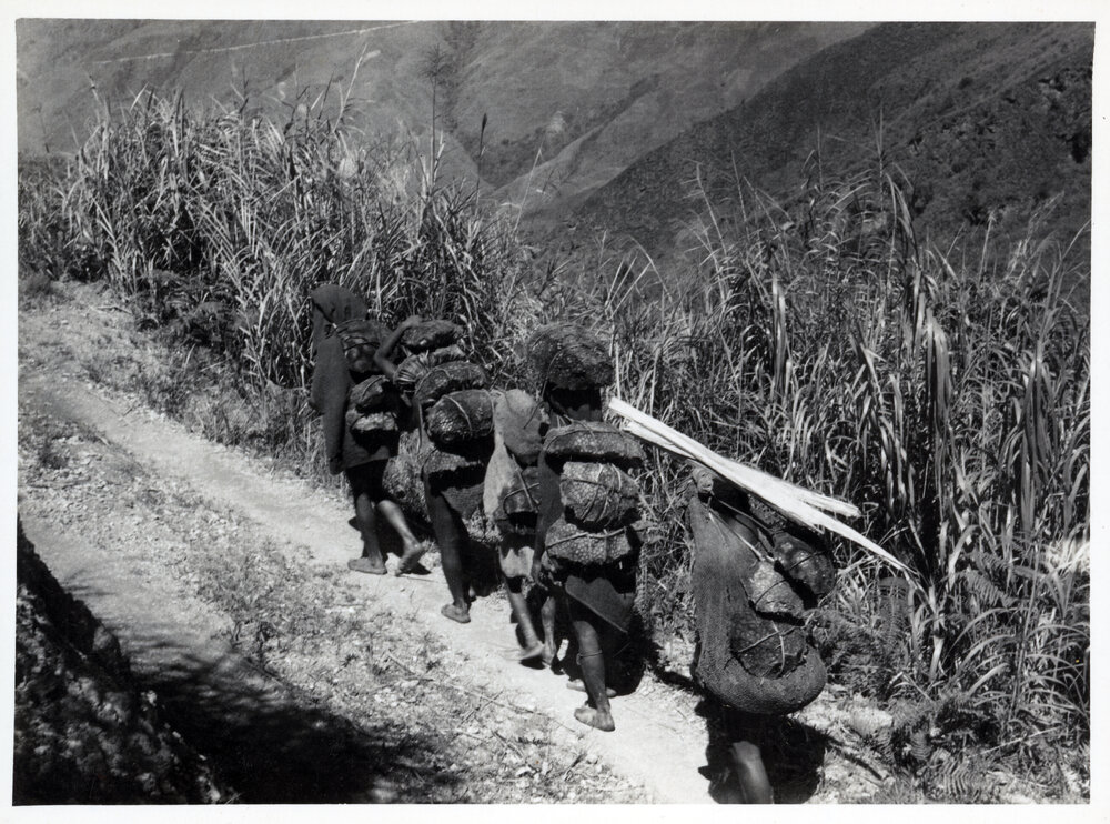 Group with Net Bags on Mountainside