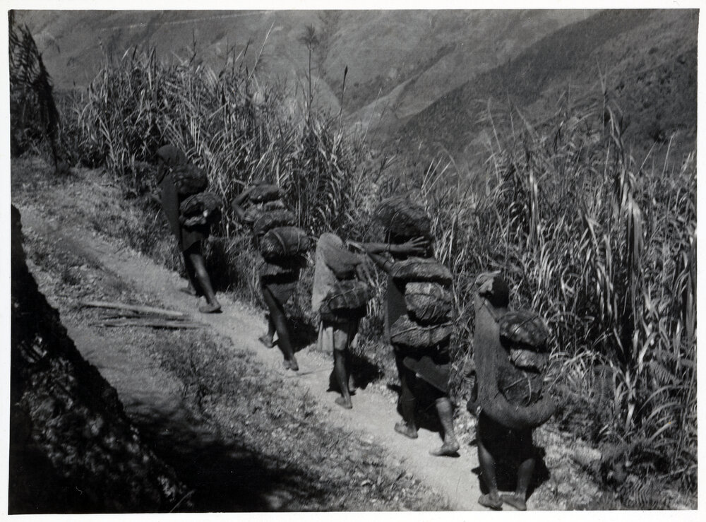 Group with Net Bags on Mountainside